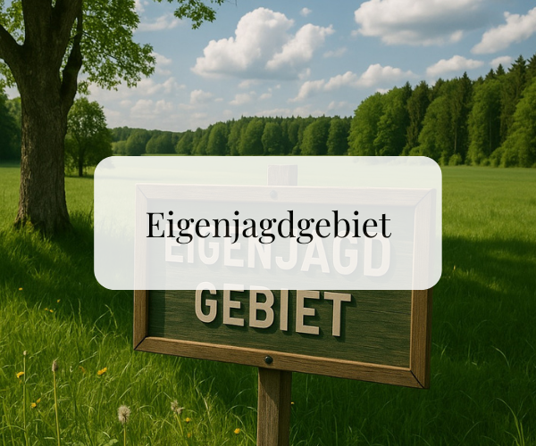 Eigenjagd in Niederösterreich