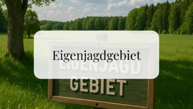 Eigenjagdgebiet