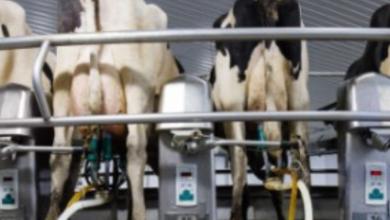 AUDEO (1920 x 400 px)