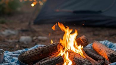 AUDEO (1920 x 400 px)